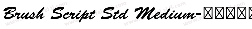Brush Script Std Medium字体转换
